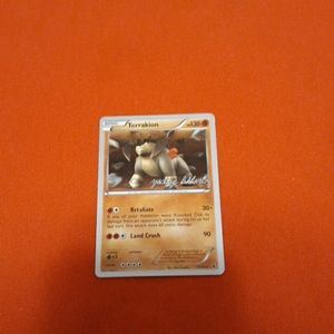 Terrakion tradeing card